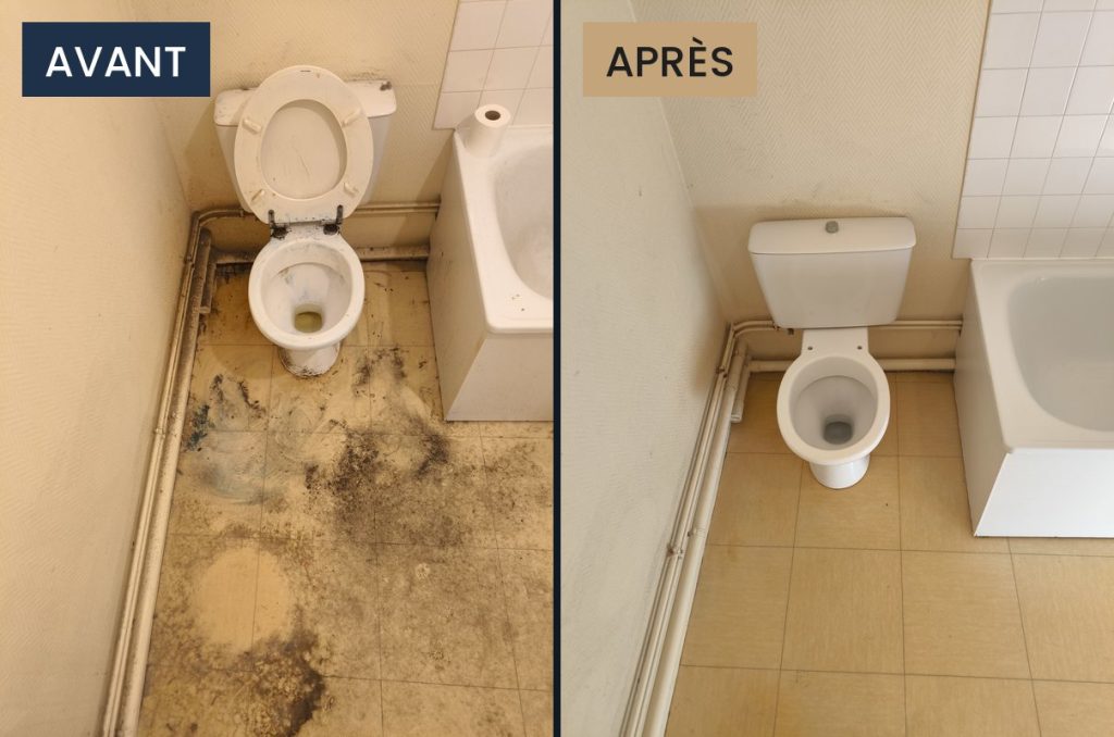 Avant / après : toilettes nettoyées et désinfectées après décès à Toulouse